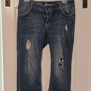 Lane Bryant Bootcut petite jeans